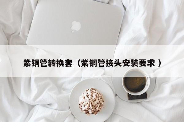 紫銅管轉(zhuǎn)換套（紫銅管接頭安裝要求 ）