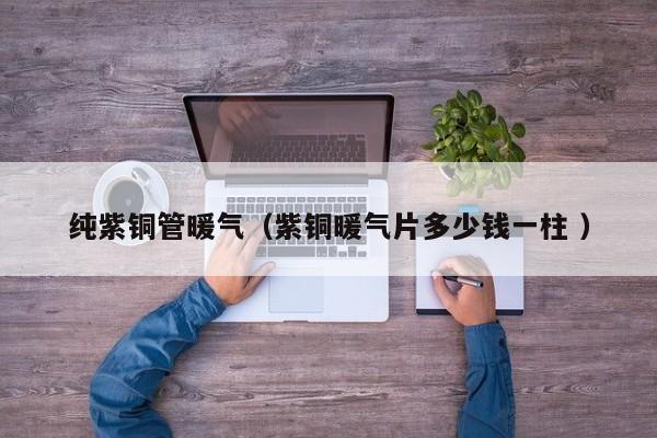 純紫銅管暖氣（紫銅暖氣片多少錢一柱 ）