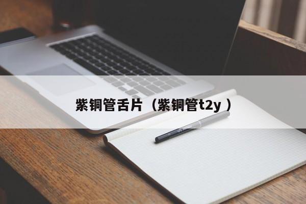紫銅管舌片（紫銅管t2y ）