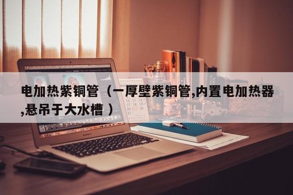電加熱紫銅管（一厚壁紫銅管,內置電加熱器,懸吊于大水槽 ）