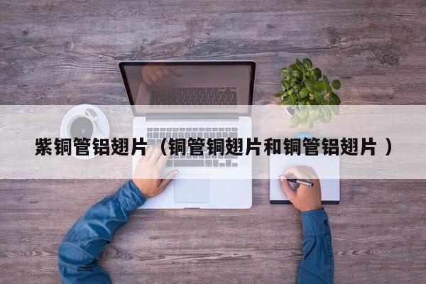 紫銅管鋁翅片（銅管銅翅片和銅管鋁翅片 ）