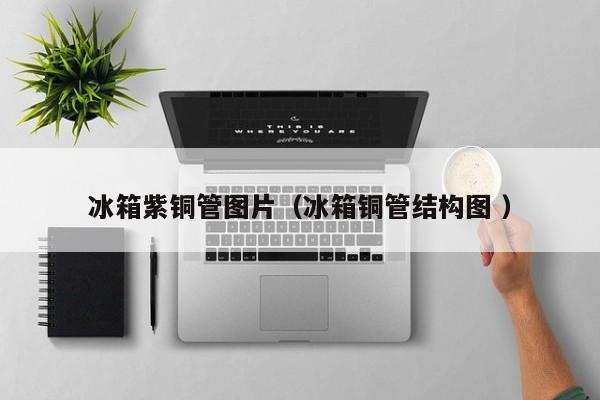 冰箱紫銅管圖片（冰箱銅管結(jié)構(gòu)圖 ）