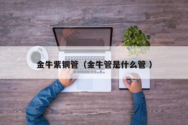 金牛紫銅管（金牛管是什么管 ）