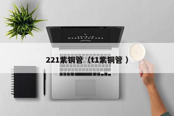 221紫銅管（t1紫銅管 ）