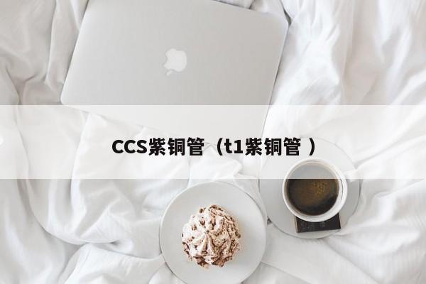 CCS紫銅管（t1紫銅管 ）