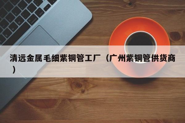 清遠(yuǎn)金屬毛細(xì)紫銅管工廠（廣州紫銅管供貨商 ）