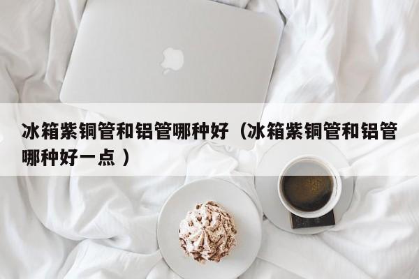 冰箱紫銅管和鋁管哪種好（冰箱紫銅管和鋁管哪種好一點 ）