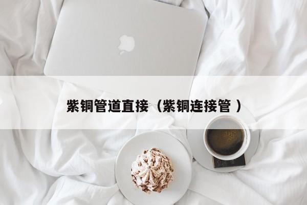 紫銅管道直接（紫銅連接管 ）