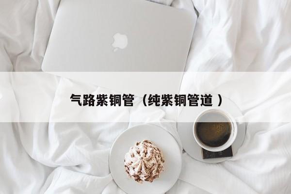 氣路紫銅管（純紫銅管道 ）