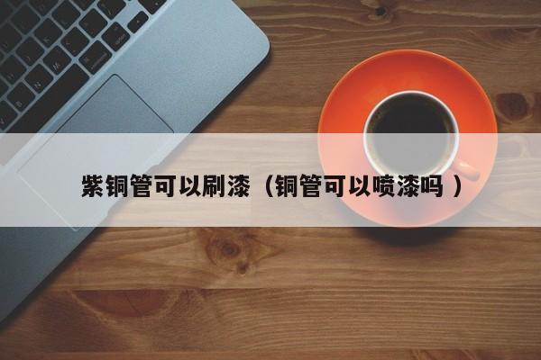 紫銅管可以刷漆（銅管可以噴漆嗎 ）