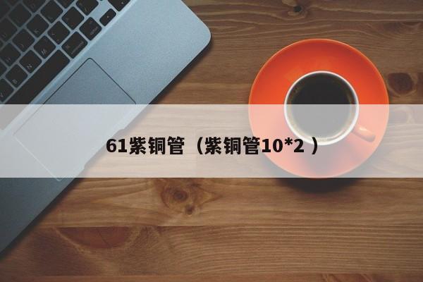 61紫銅管（紫銅管10*2 ）