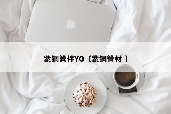 紫銅管件YG（紫銅管材 ）